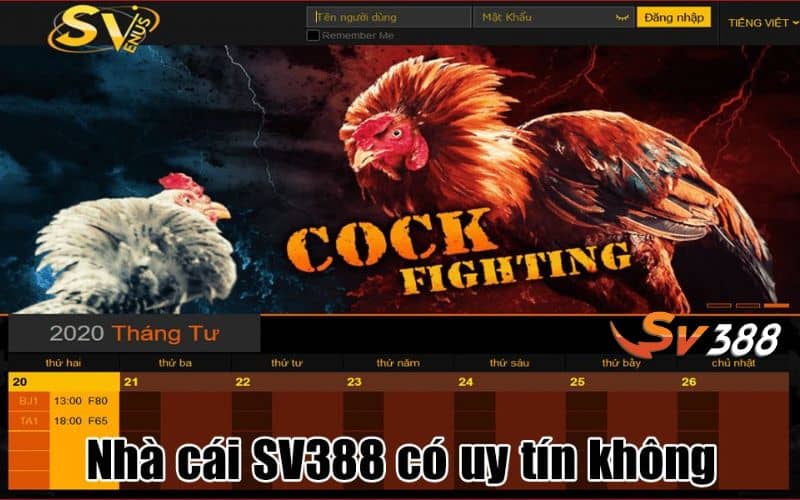 SV388 hoàn toàn uy tín và luôn đảm bảo quyền lợi người chơi